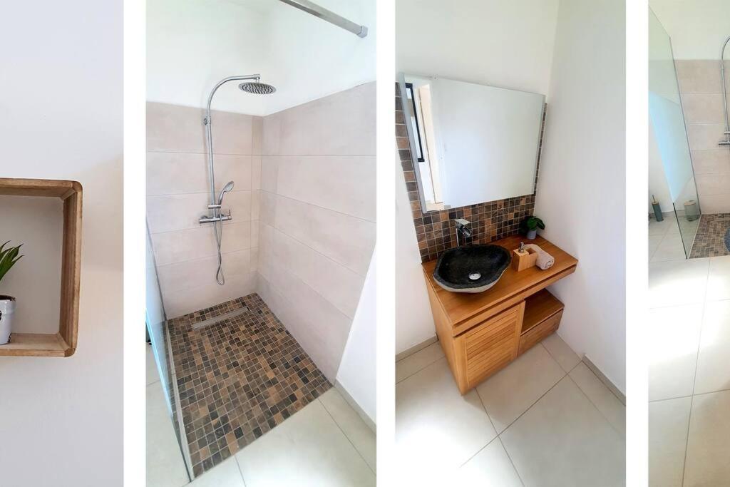 Villa Sud Sauvage แซงต์ฟิลิป ภายนอก รูปภาพ